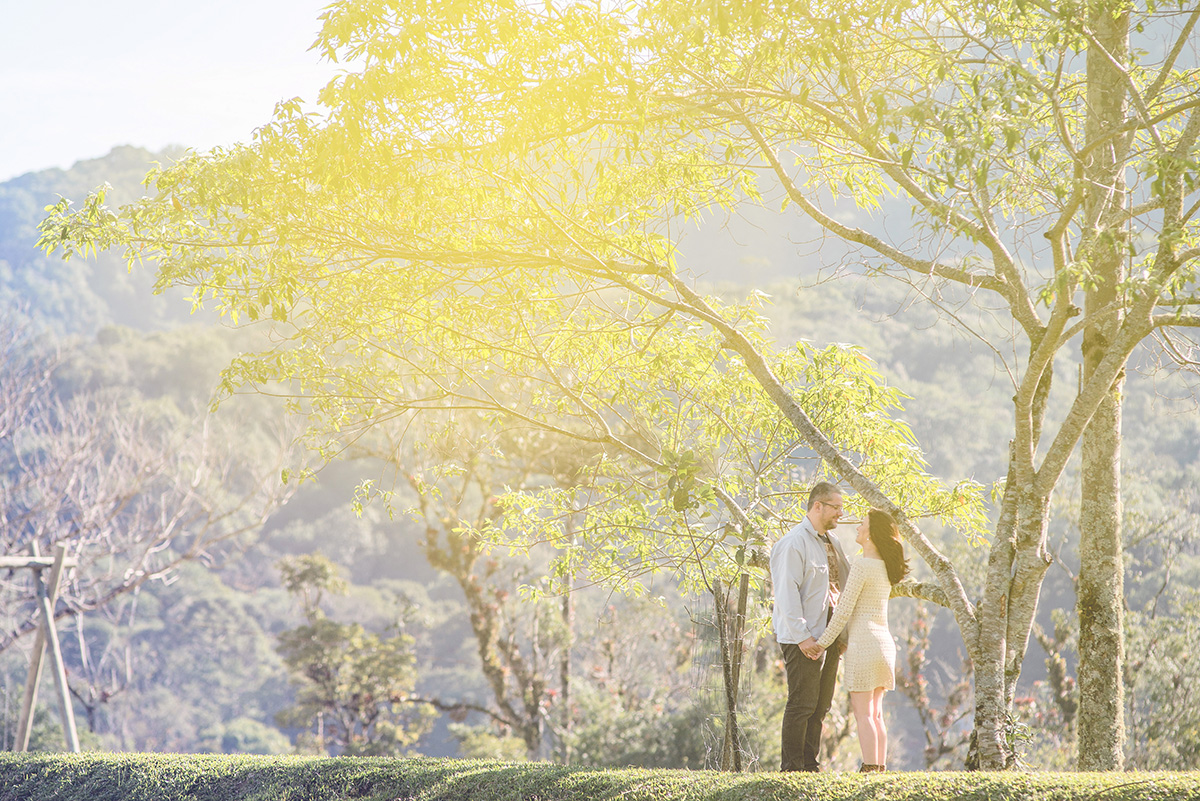 pré-casamento - pre wedding - danielle - ritchie - casal - couple - pousada vale dos ventos - rio dos cedros - chroma fotografia