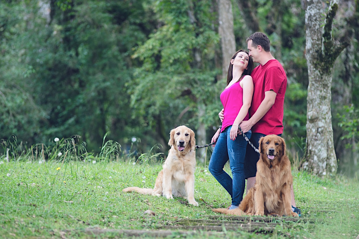 pré - pre wedding - pré casamento - golden retriever - ensaio casal - nathascha - diego schorr - são bento do sul - chroma fotografia