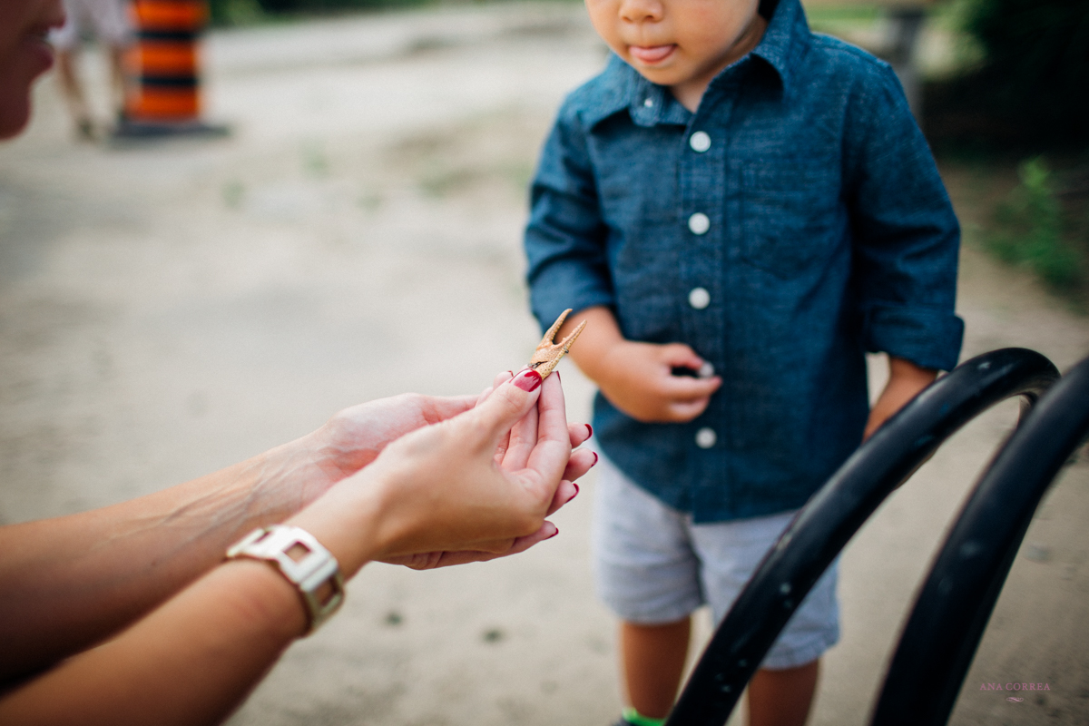 ana correa, fotografia de familia, family session, family session canada, canada, toronto, oakville, destination wedding photographer