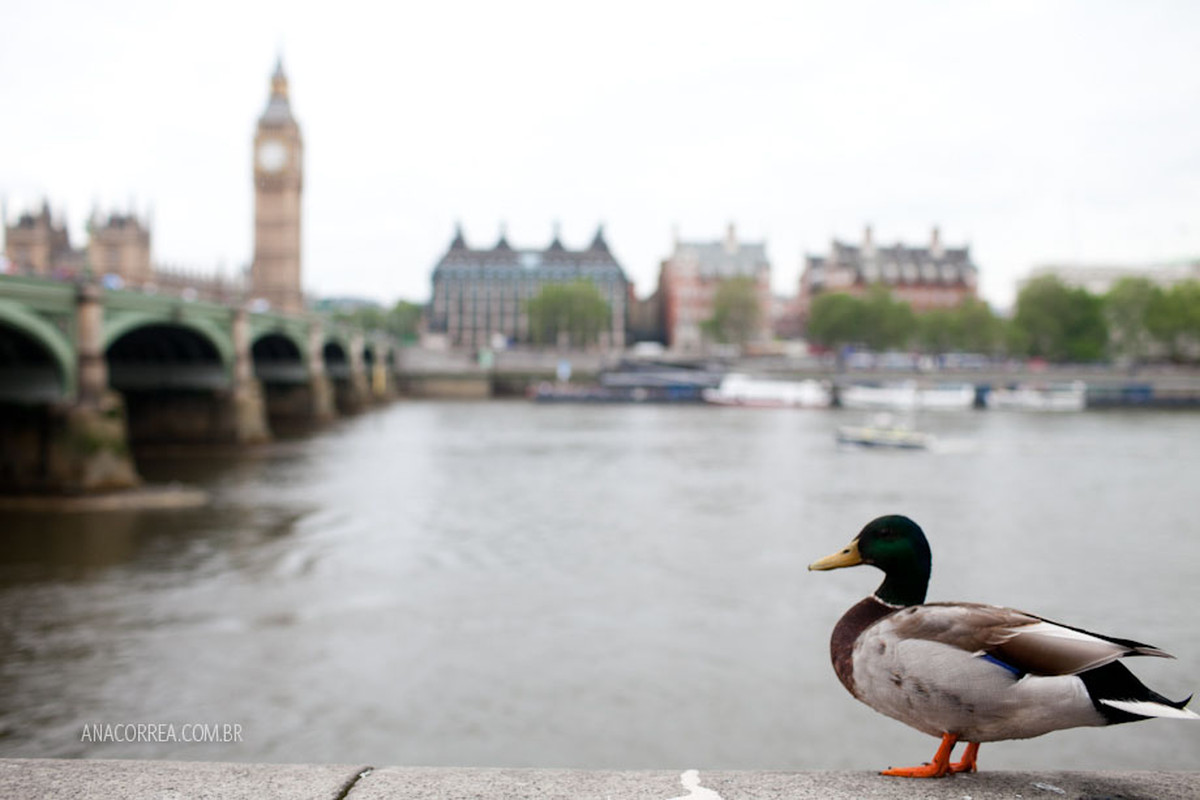 AnaCorrea_London-19