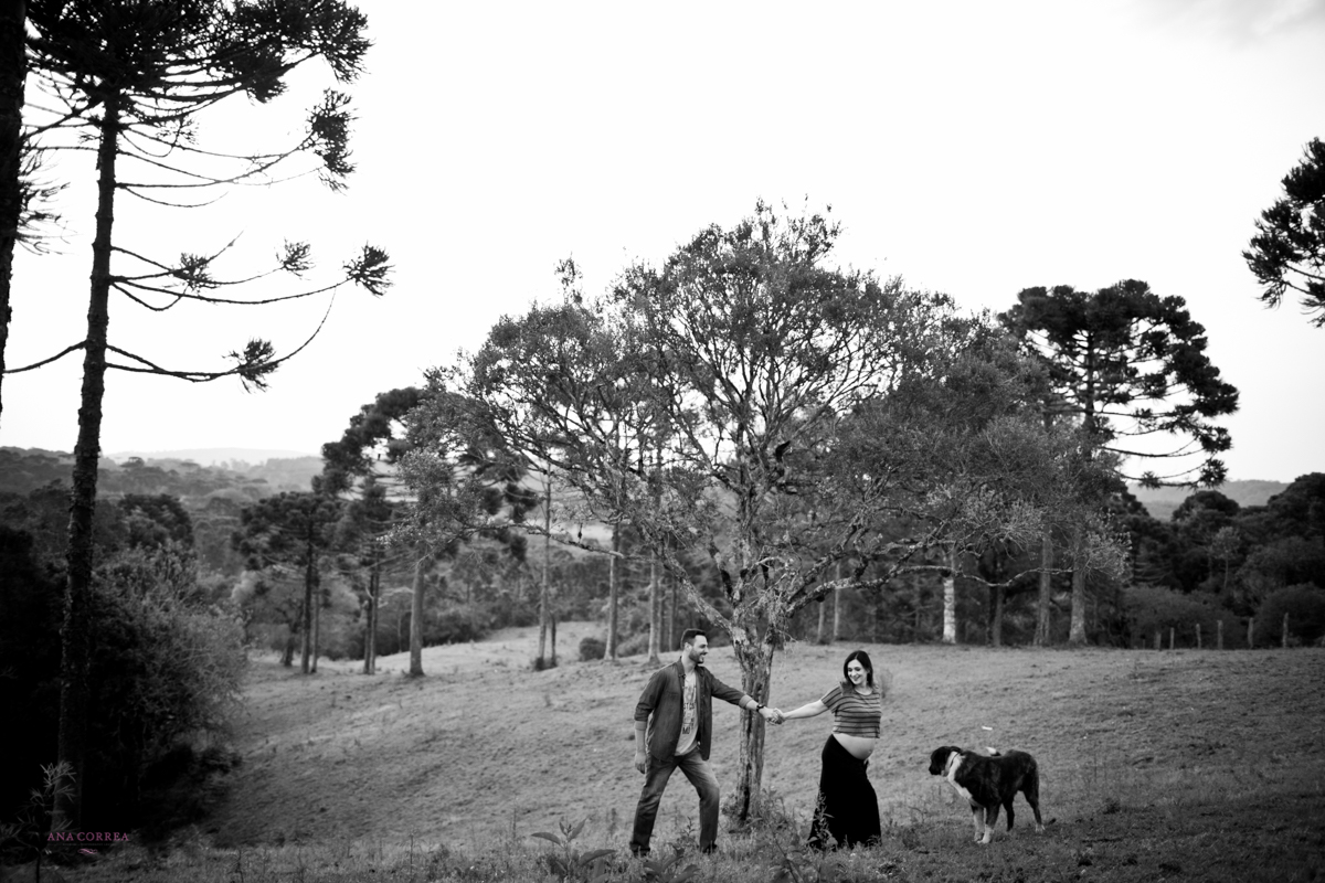 fotografia de gestantes florianopolis, fotos de gestante florianopolis, fotos ana correa, ana correa, fotografia de gestante lages, ensaio gestante lages, serra catarinense, gravidas na serra