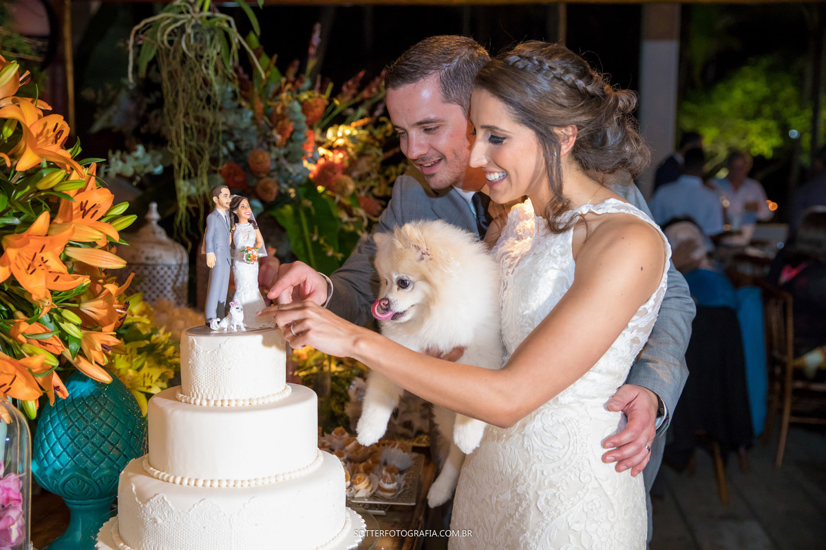 cachorro no bolo, sotter fotografia, casamento trancoso