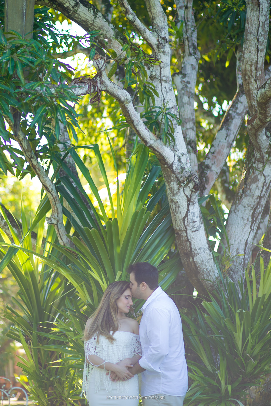sentimento, sotter fotografia