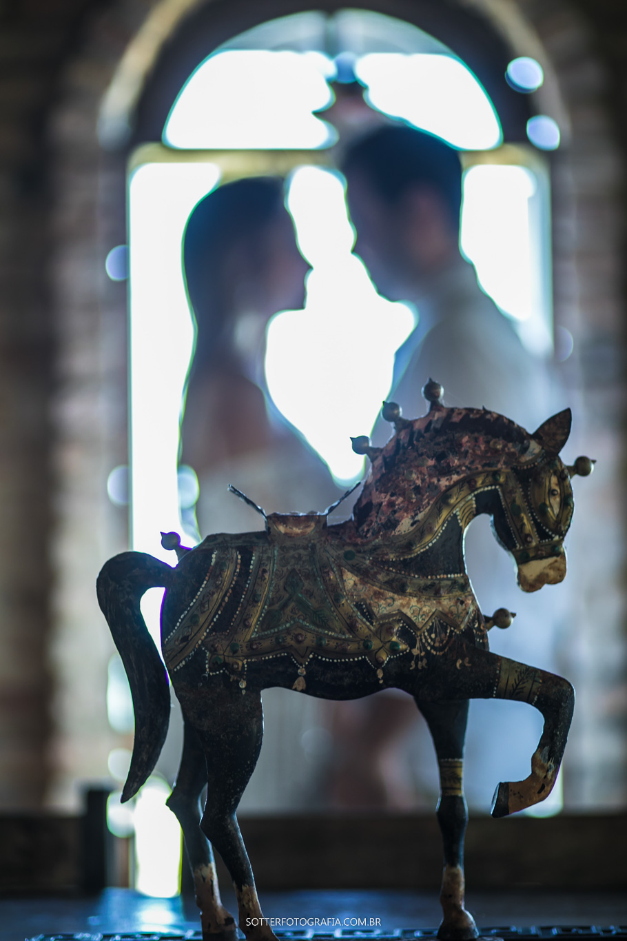 detalhe do cavalo sotter fotografia