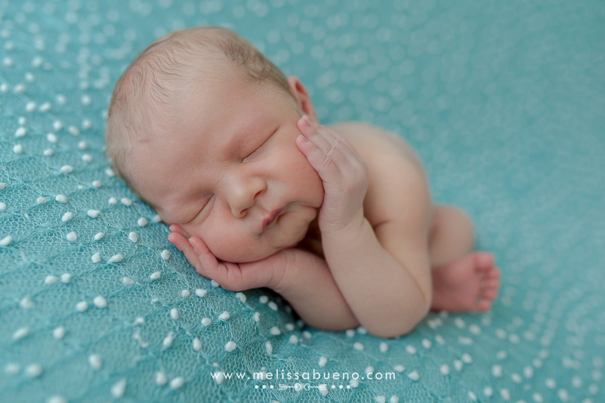 newborn maringa