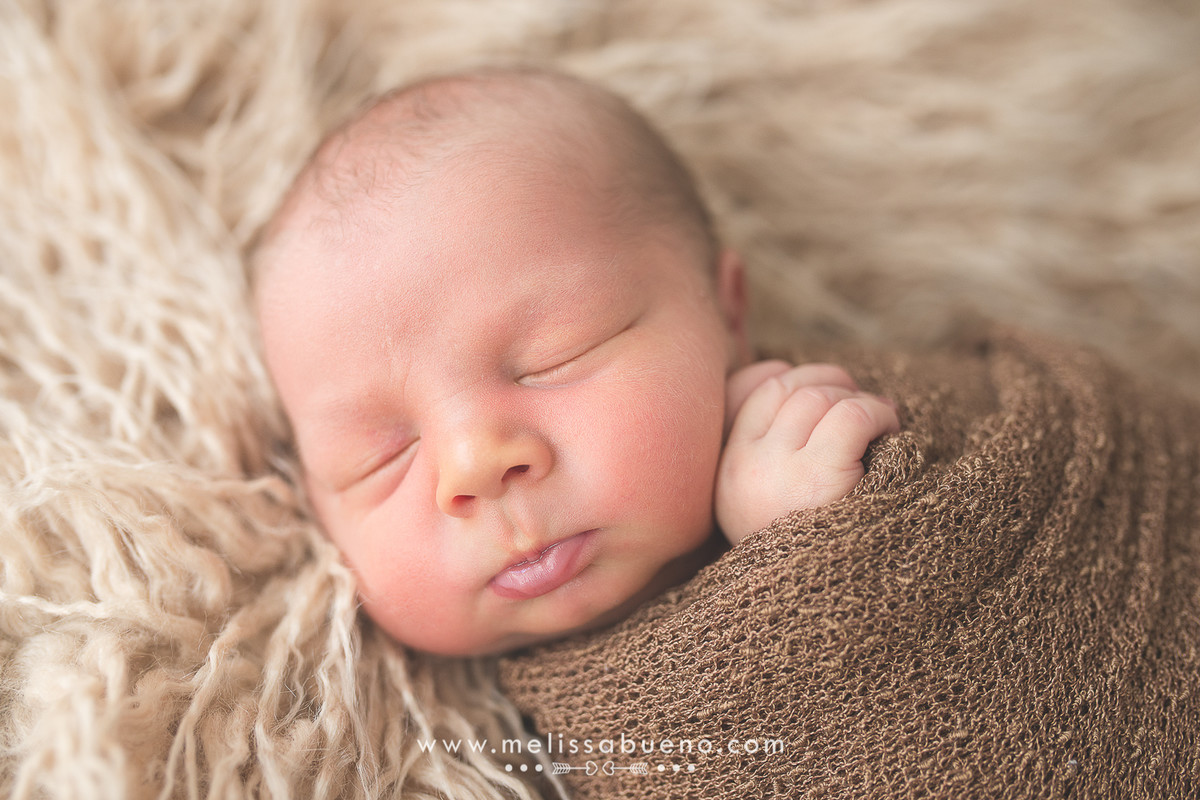 newborn maringa