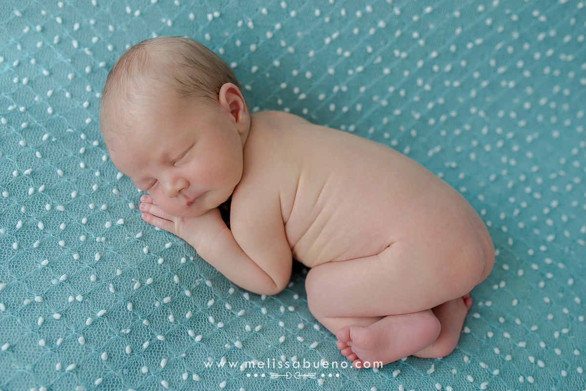 newborn maringa