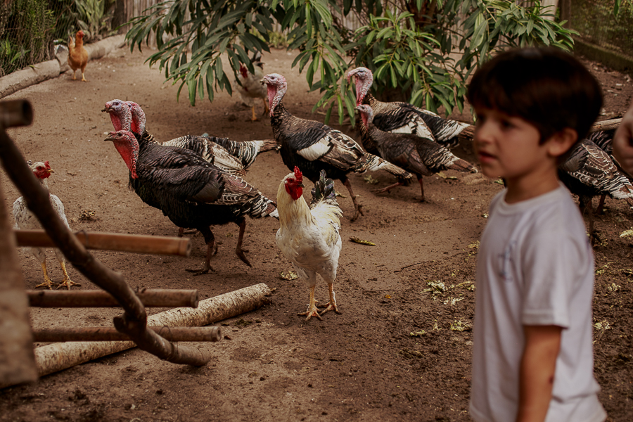 Projeto ser mãe é, ser mãe, a loucura que é ser mãe, privilégio, amor de mãe, nara corrêa fotografia, nara correa, filhos amados, amor de mãe, a vida como ela é, amor, família, fi