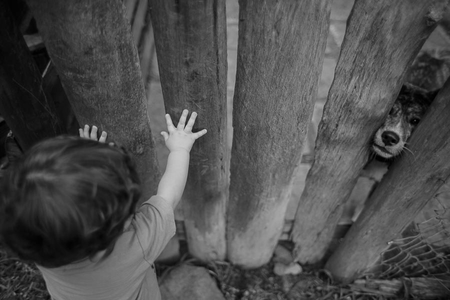 Projeto ser mãe é, ser mãe, a loucura que é ser mãe, privilégio, amor de mãe, nara corrêa fotografia, nara correa, filhos amados, amor de mãe, a vida como ela é, amor, família, fi