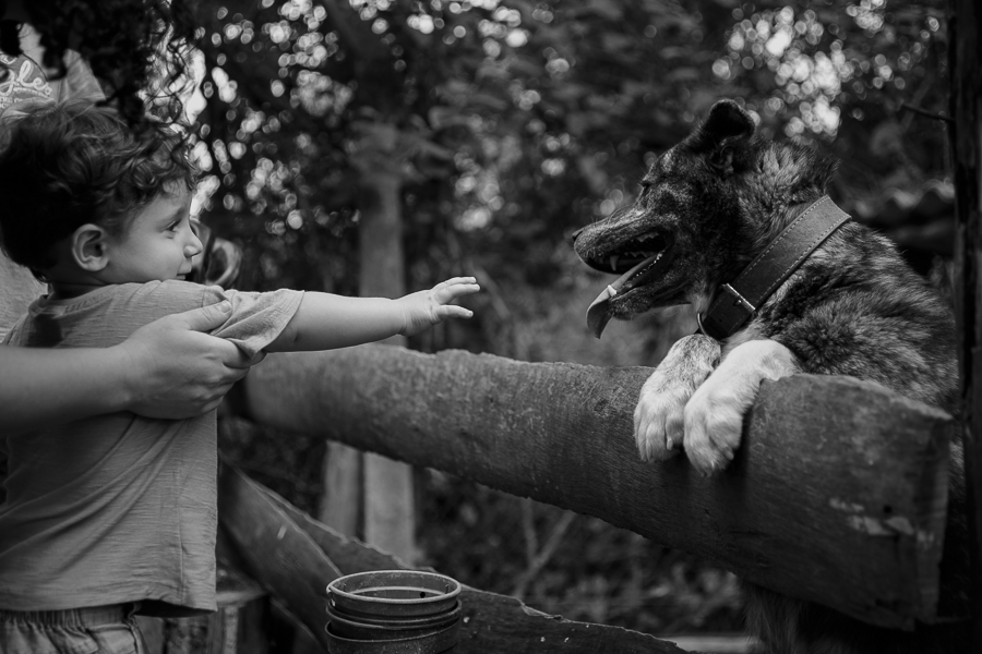 Projeto ser mãe é, ser mãe, a loucura que é ser mãe, privilégio, amor de mãe, nara corrêa fotografia, nara correa, filhos amados, amor de mãe, a vida como ela é, amor, família, fi