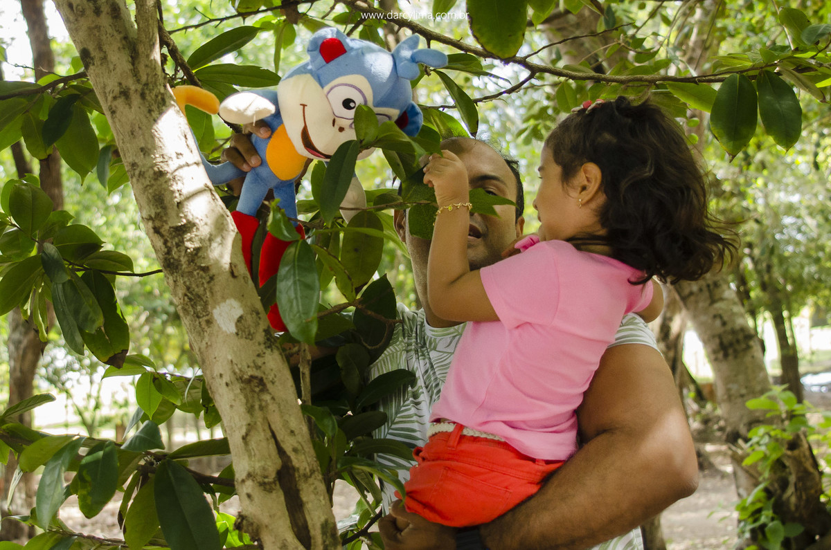 aventura em busca da turma da dora aventureira
