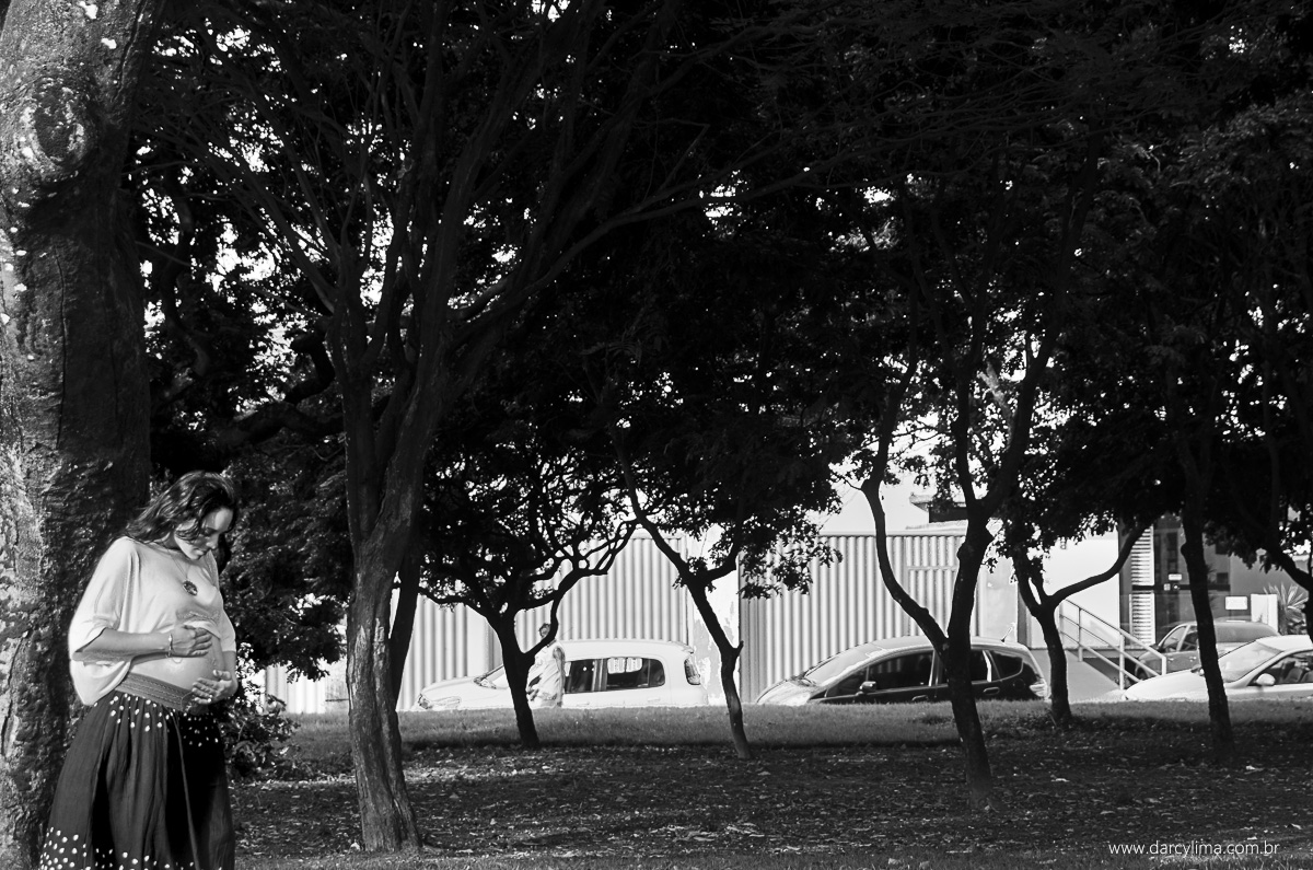 retrato minimalista de gravida junto as grandes arvores da praça da independencia