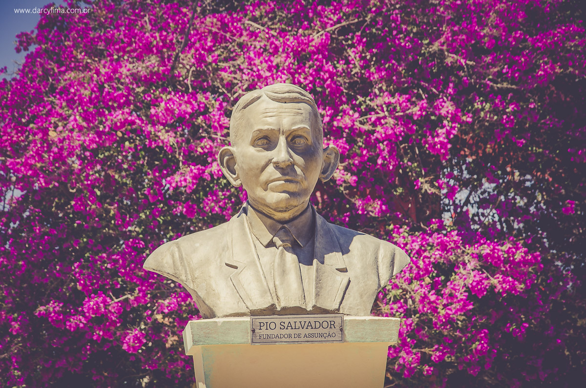 busto da familia salvador