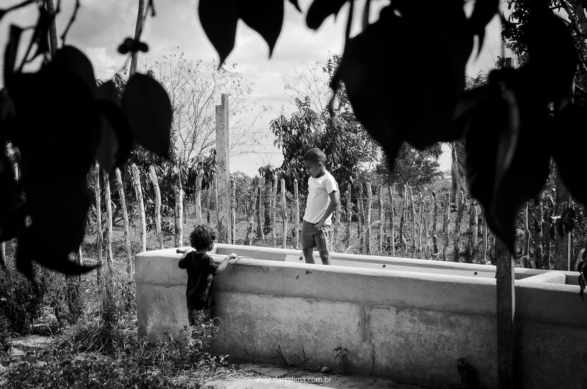 retratos de criança no sitio