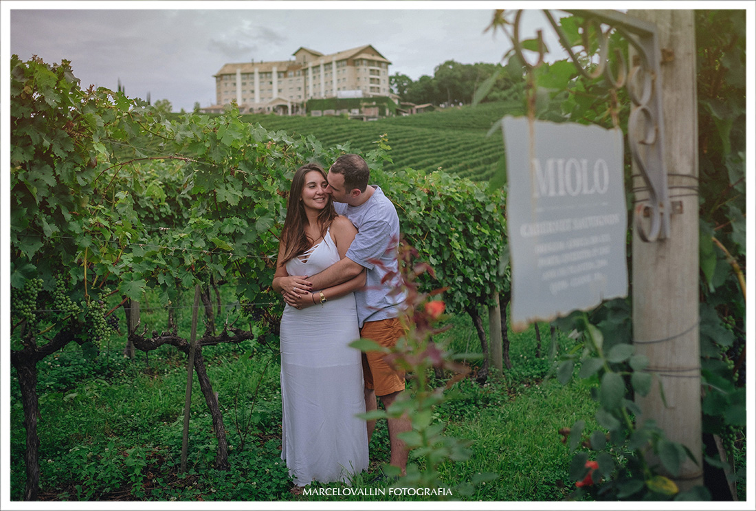 Pre wedding vale dos vinhedos na serra gaúcha