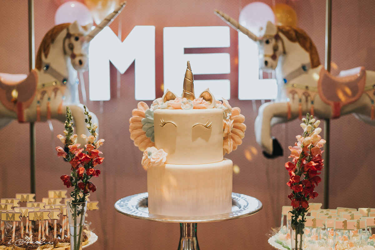 fotografia de aniversario, fotografo bauru