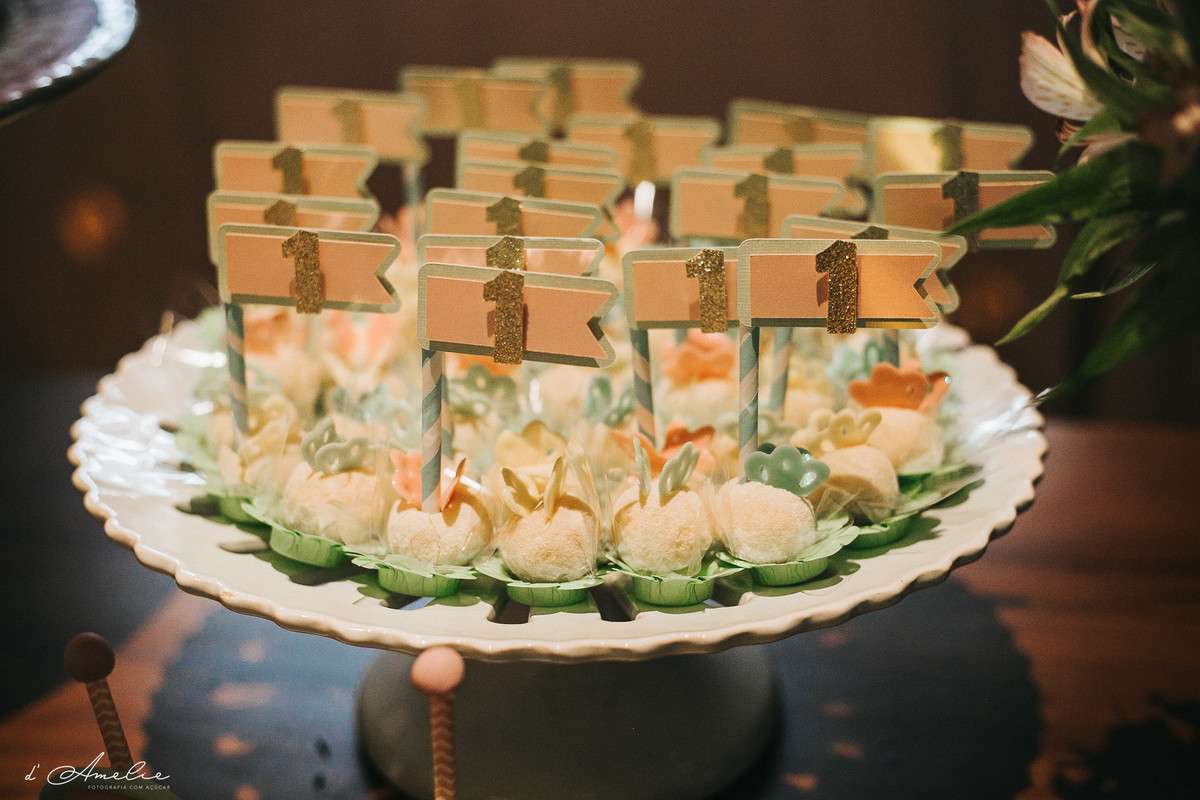 fotografia de aniversario, fotografo bauru