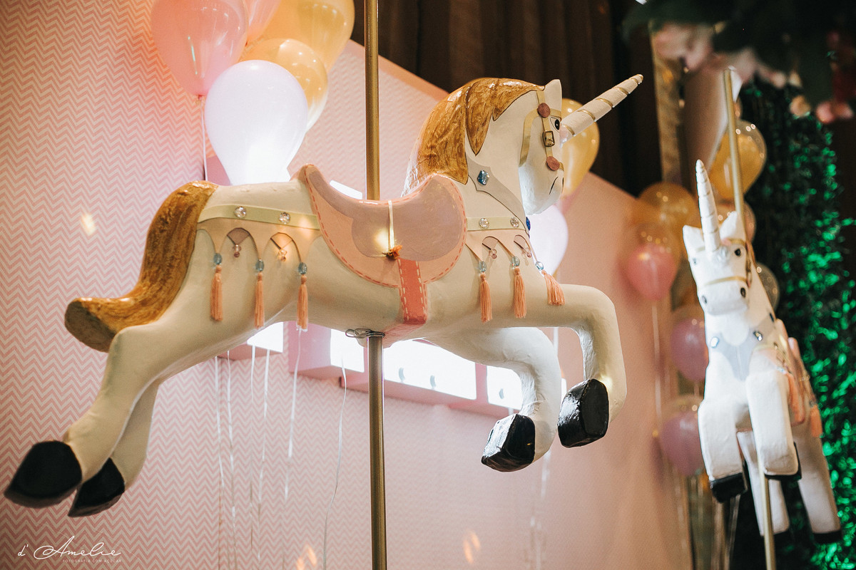 fotografia de aniversario, fotografo bauru