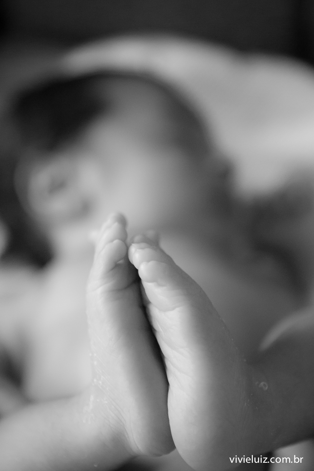 fotos de newborn em brasilia