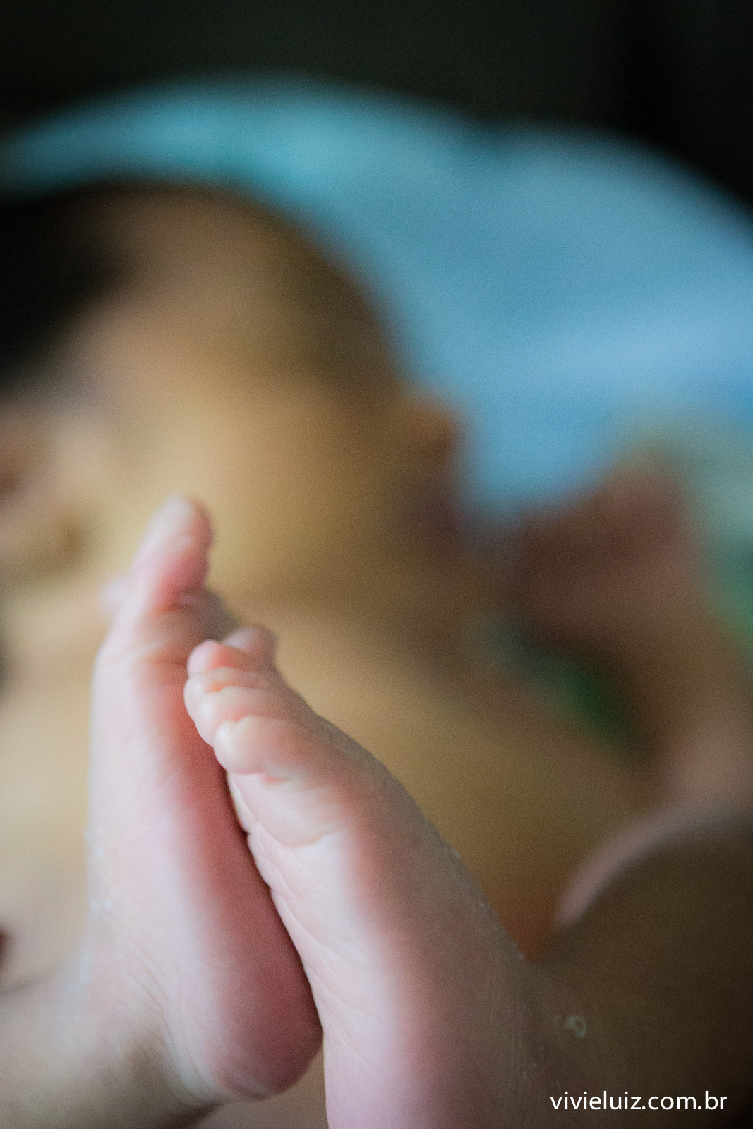 fotos de newborn em brasilia