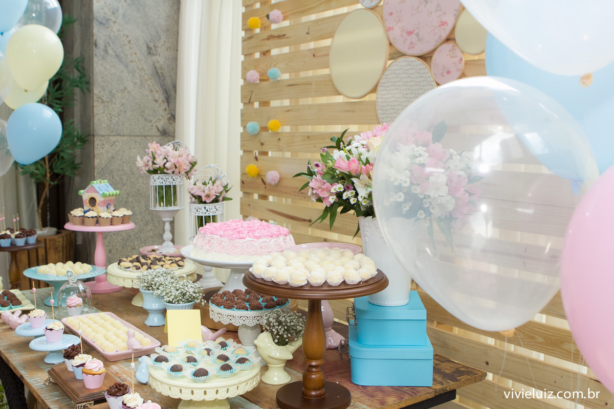 decoracao jardim de festa infantil em brasilia com fotos da vivi e luiz fotografias