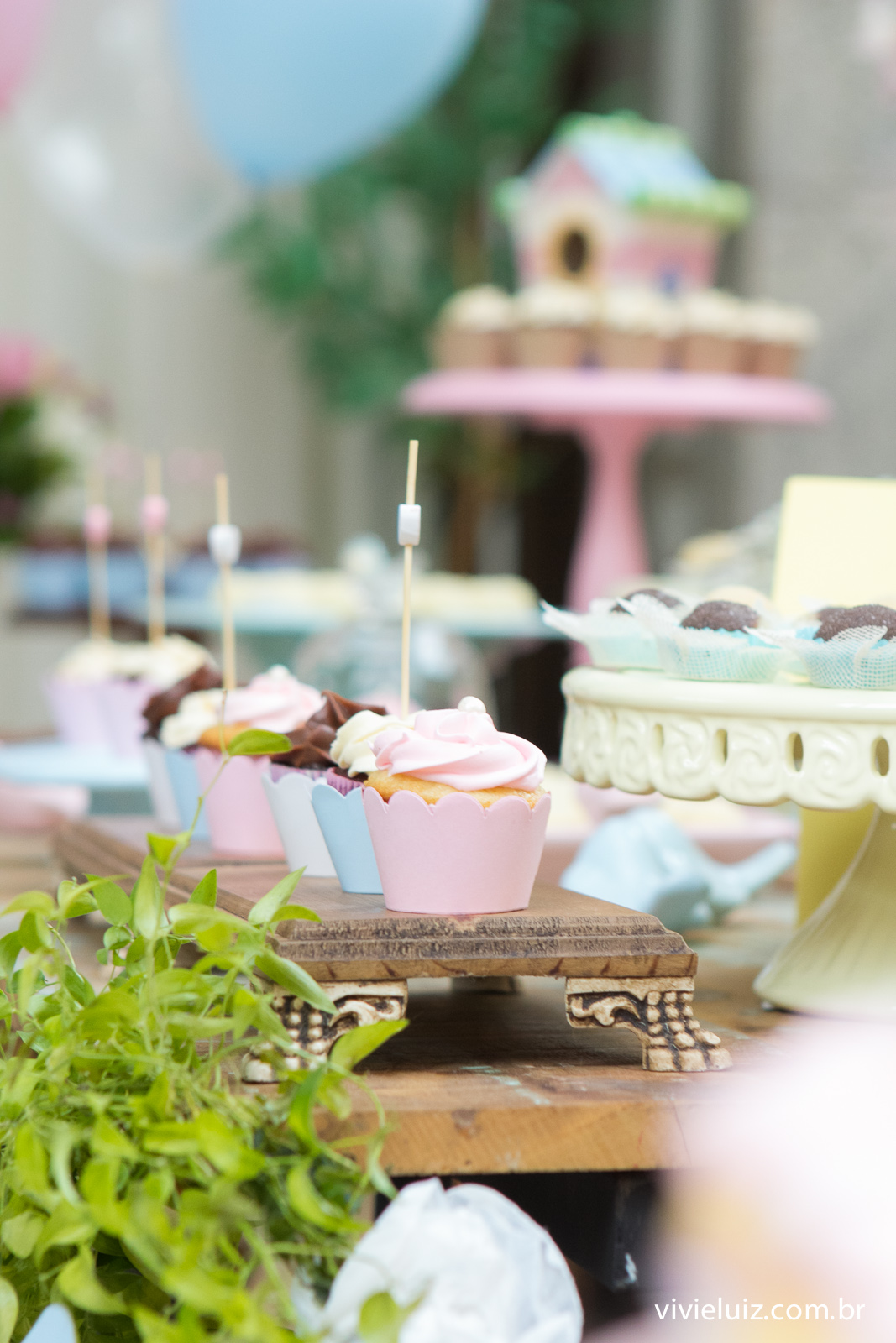 decoracao jardim de festa infantil em brasilia com fotos da vivi e luiz fotografias