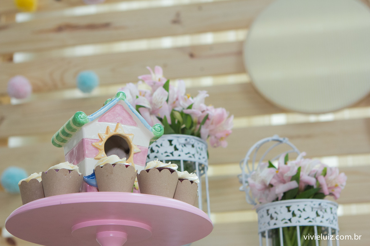 decoracao jardim de festa infantil em brasilia com fotos da vivi e luiz fotografias