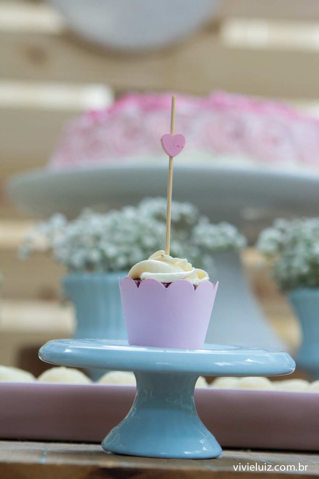 decoracao jardim de festa infantil em brasilia com fotos da vivi e luiz fotografias