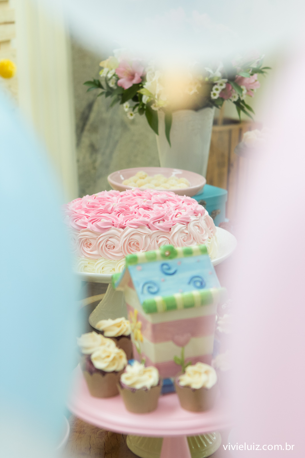 decoracao jardim de festa infantil em brasilia com fotos da vivi e luiz fotografias