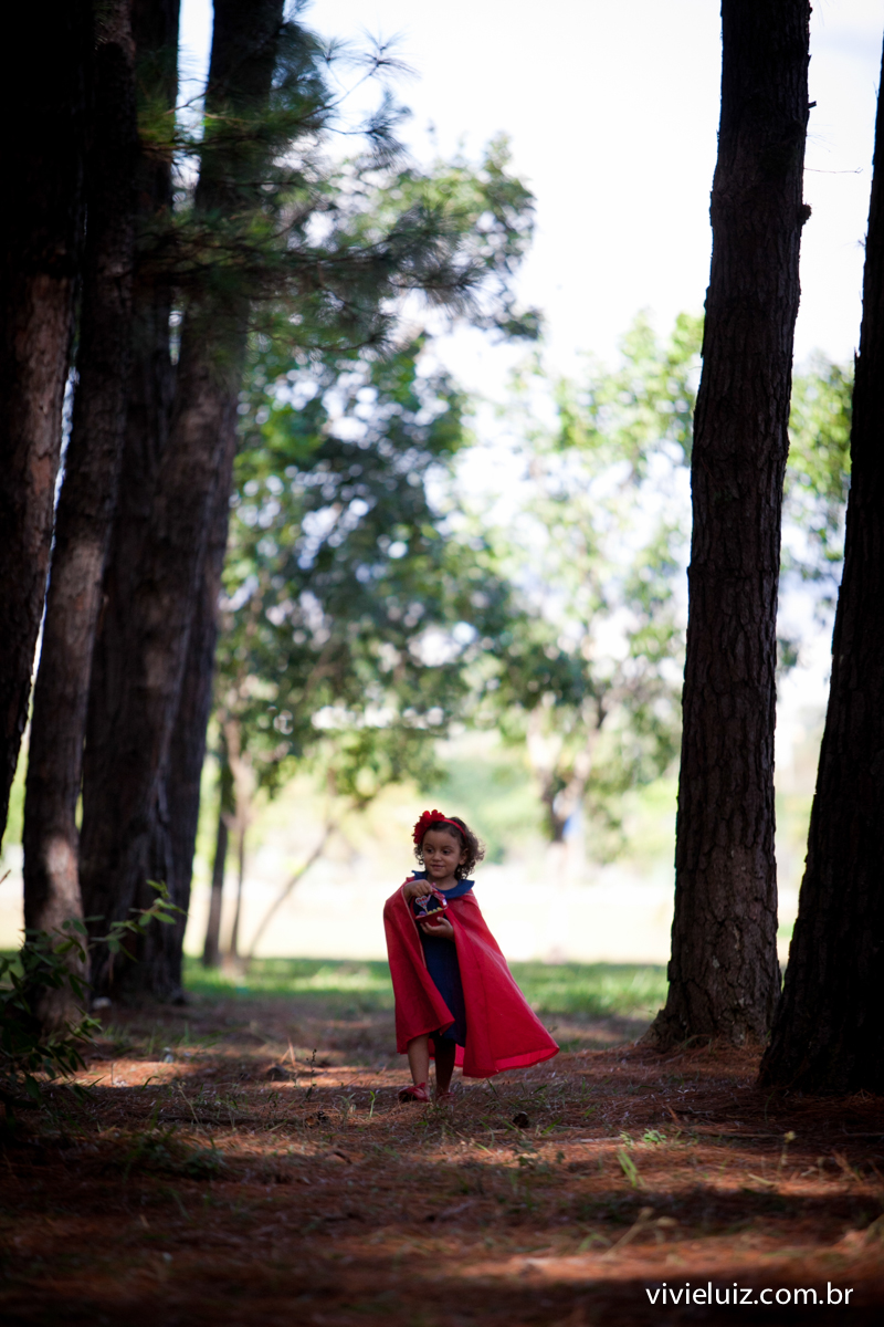 Na floresta caminha chapeuzinho vermelho