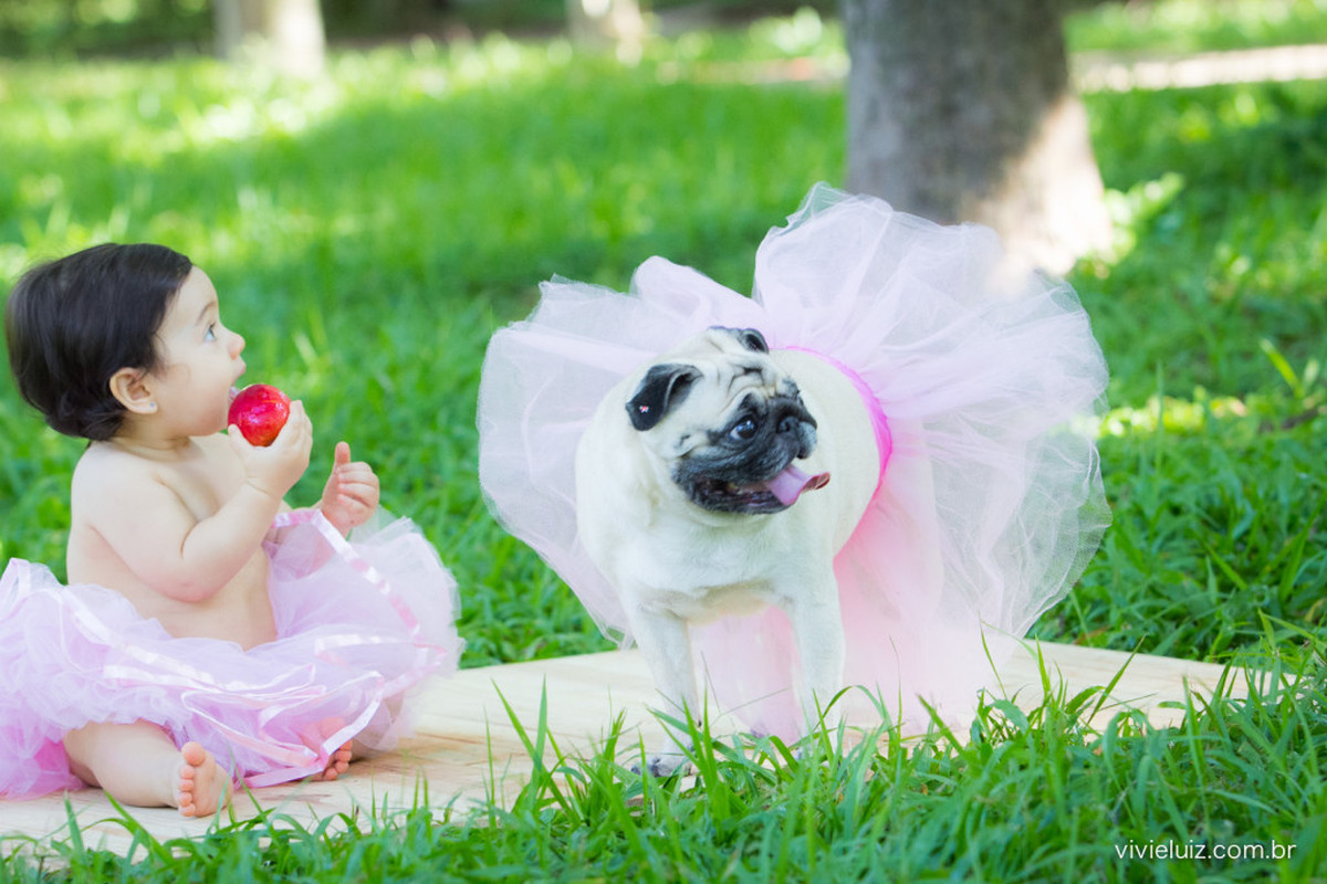 dog, cachorrinha, bailarina, criança, baby