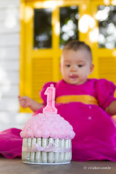fotografia de familia e crianca por vivi e luiz fotografias em brasilia