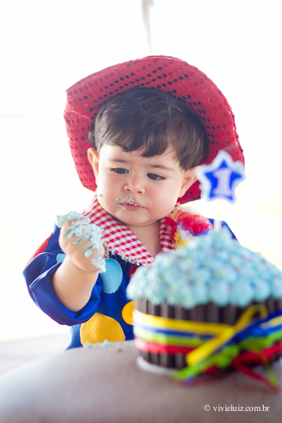 fotografia de familia e crianca por vivi e luiz fotografias em brasilia smash the cake