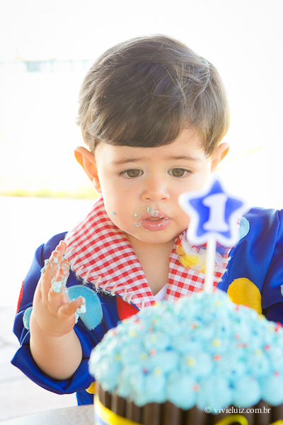 fotografia de familia e crianca por vivi e luiz fotografias em brasilia smash the cake