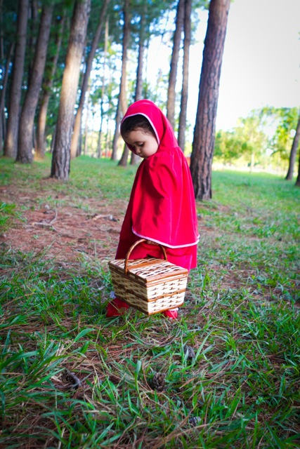fotografia de familia e crianca por vivi e luiz fotografias em brasilia chapeuzinho vermelho