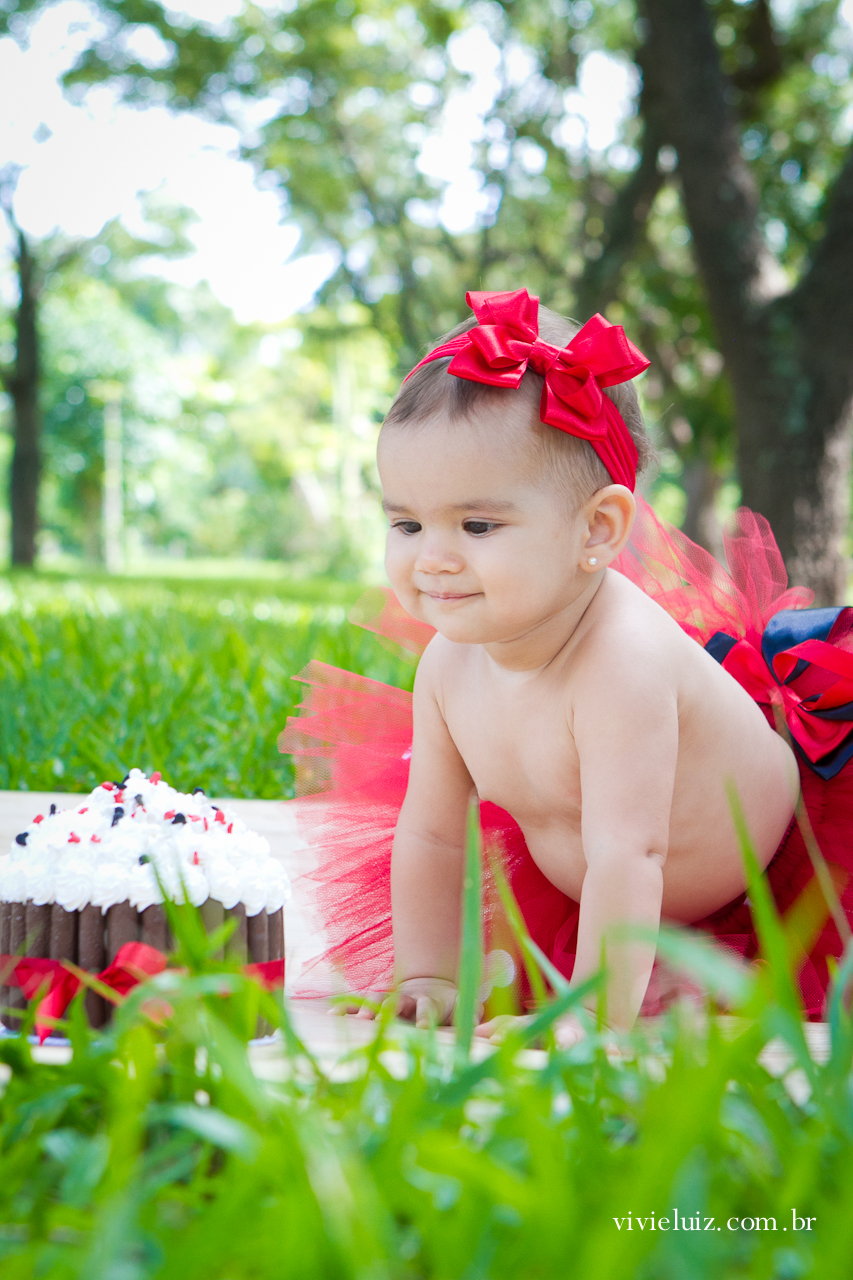 fotografia de familia por vivi e luiz fotografias em brasilia
