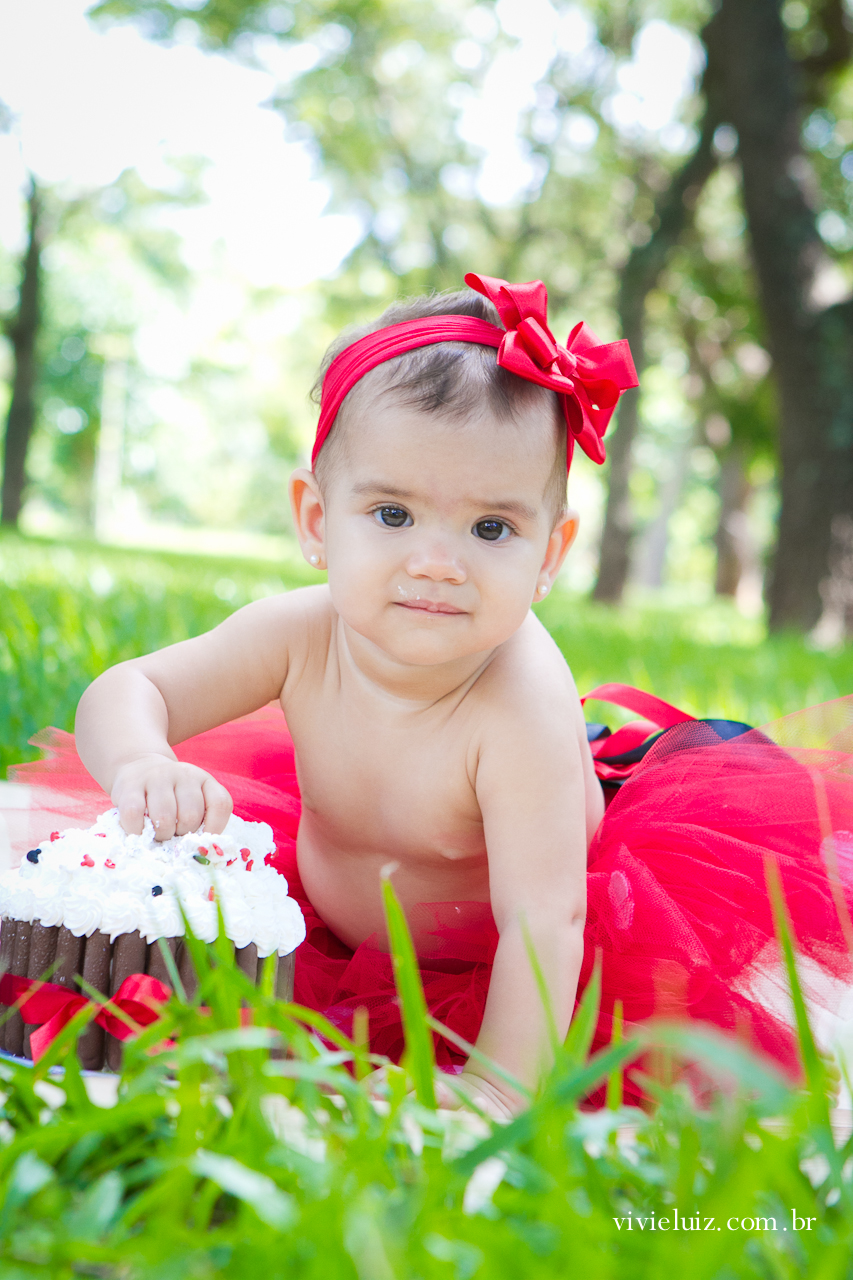 fotografia de familia por vivi e luiz fotografias em brasilia