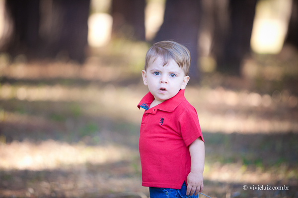 fotografia de familia por vivi e luiz fotografias em brasilia