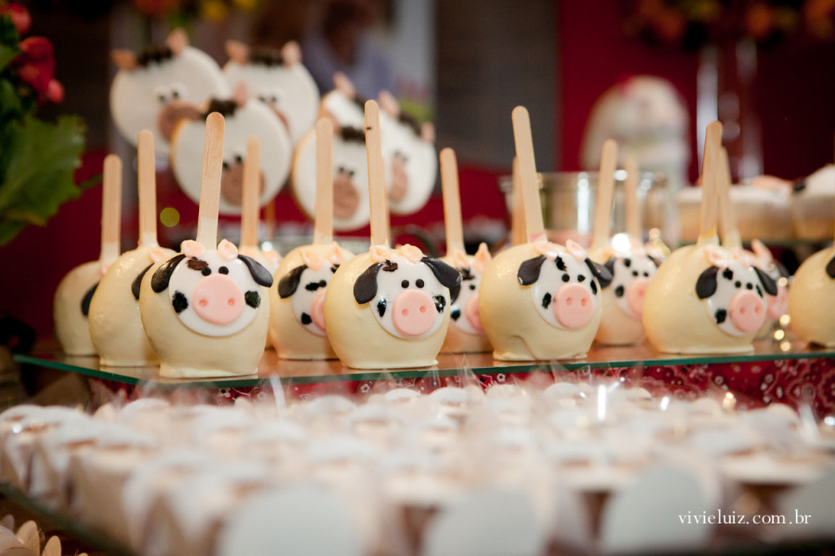 Festa infantil | Carolina e Junior