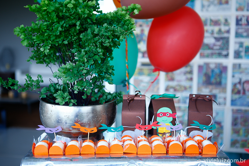 decoracao de festa infantil em brasilia com fotos da vivi e luiz fotografias tartaruga ninja