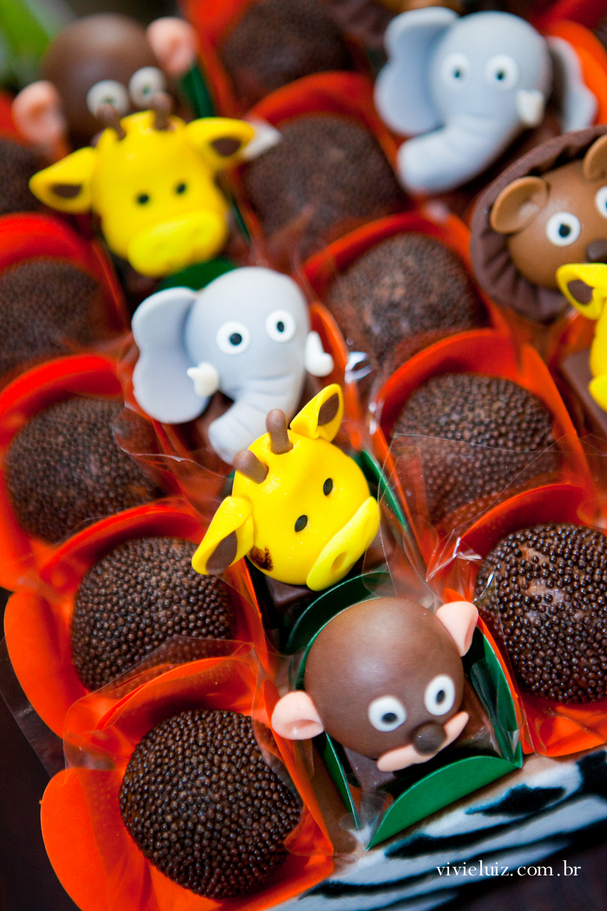 decoracao de festa infantil em brasilia com fotos da vivi e luiz fotografias animais