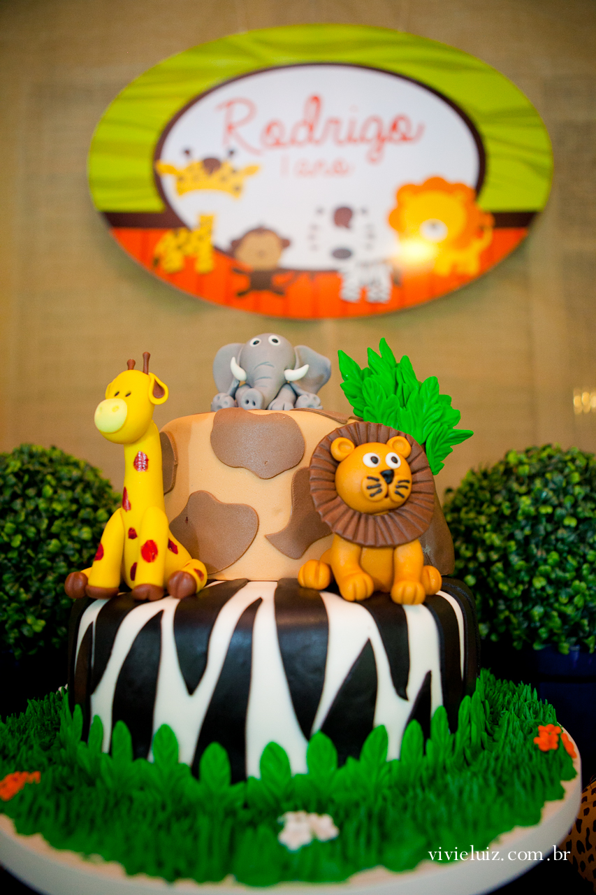 decoracao de festa infantil em brasilia com fotos da vivi e luiz fotografias animais