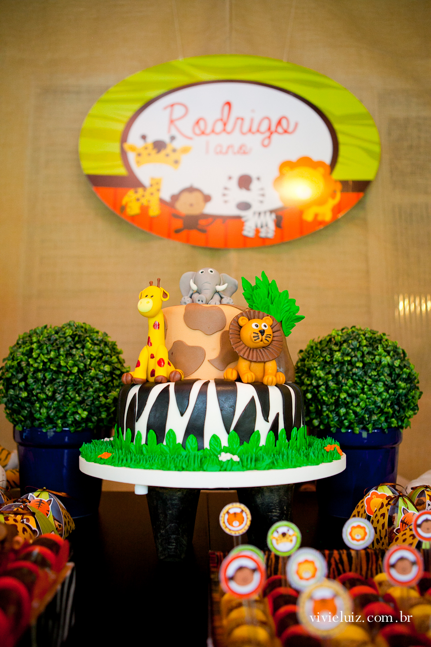 decoracao de festa infantil em brasilia com fotos da vivi e luiz fotografias animais