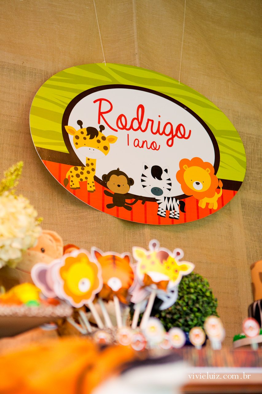 decoracao de festa infantil em brasilia com fotos da vivi e luiz fotografias animais