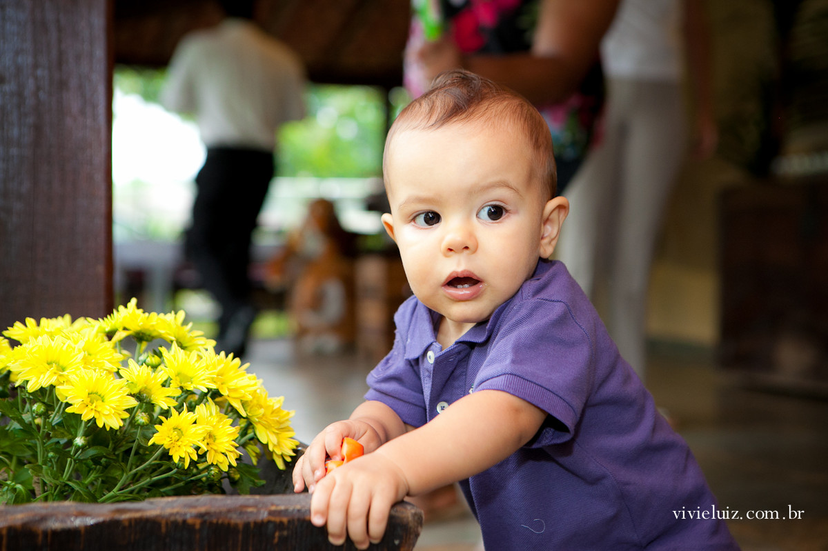 festa infantil em brasilia com fotos de vivi e luiz