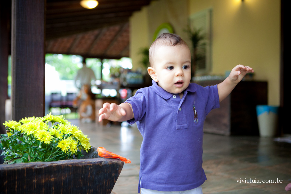 festa infantil em brasilia com fotos de vivi e luiz