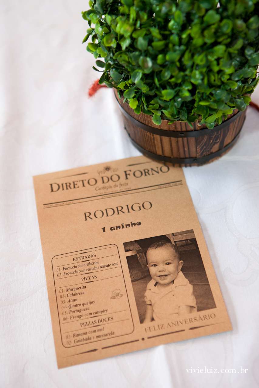 decoracao de festa infantil em brasilia com fotos da vivi e luiz fotografias animais