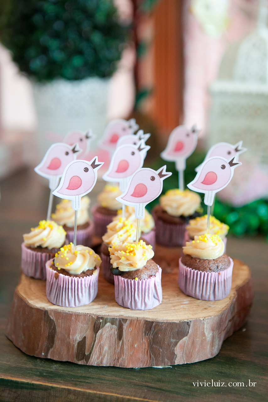decoracao de festa infantil em brasilia com fotos da vivi e luiz fotografias
