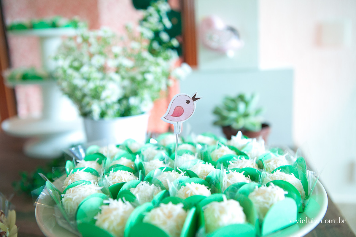 decoracao de festa infantil em brasilia com fotos da vivi e luiz fotografias