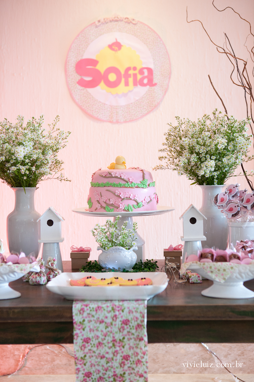 decoracao de festa infantil em brasilia com fotos da vivi e luiz fotografias